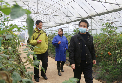 实地走访调研,巩固脱贫成效